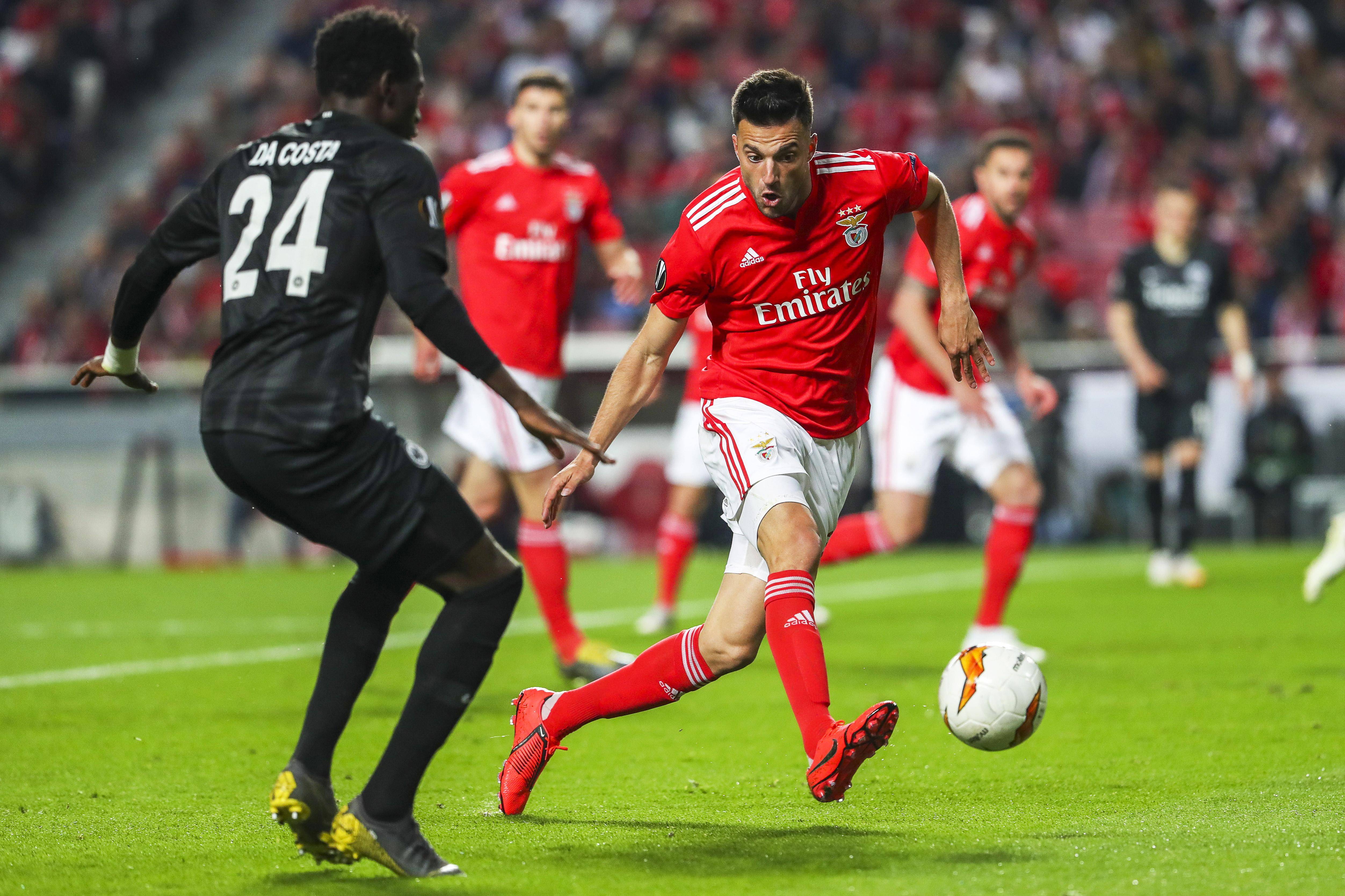 本菲卡欧冠征途：绝境中寻曙光，荆棘里绽锋芒